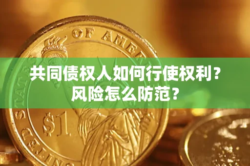 北京共同债权人如何行使权利？风险怎么防范？